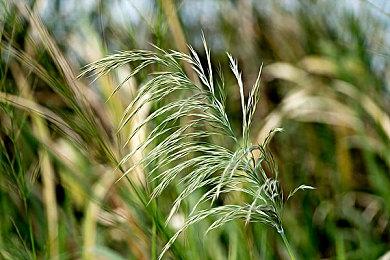 提前做好准备 《街头霸王6》预载日期和容量公布